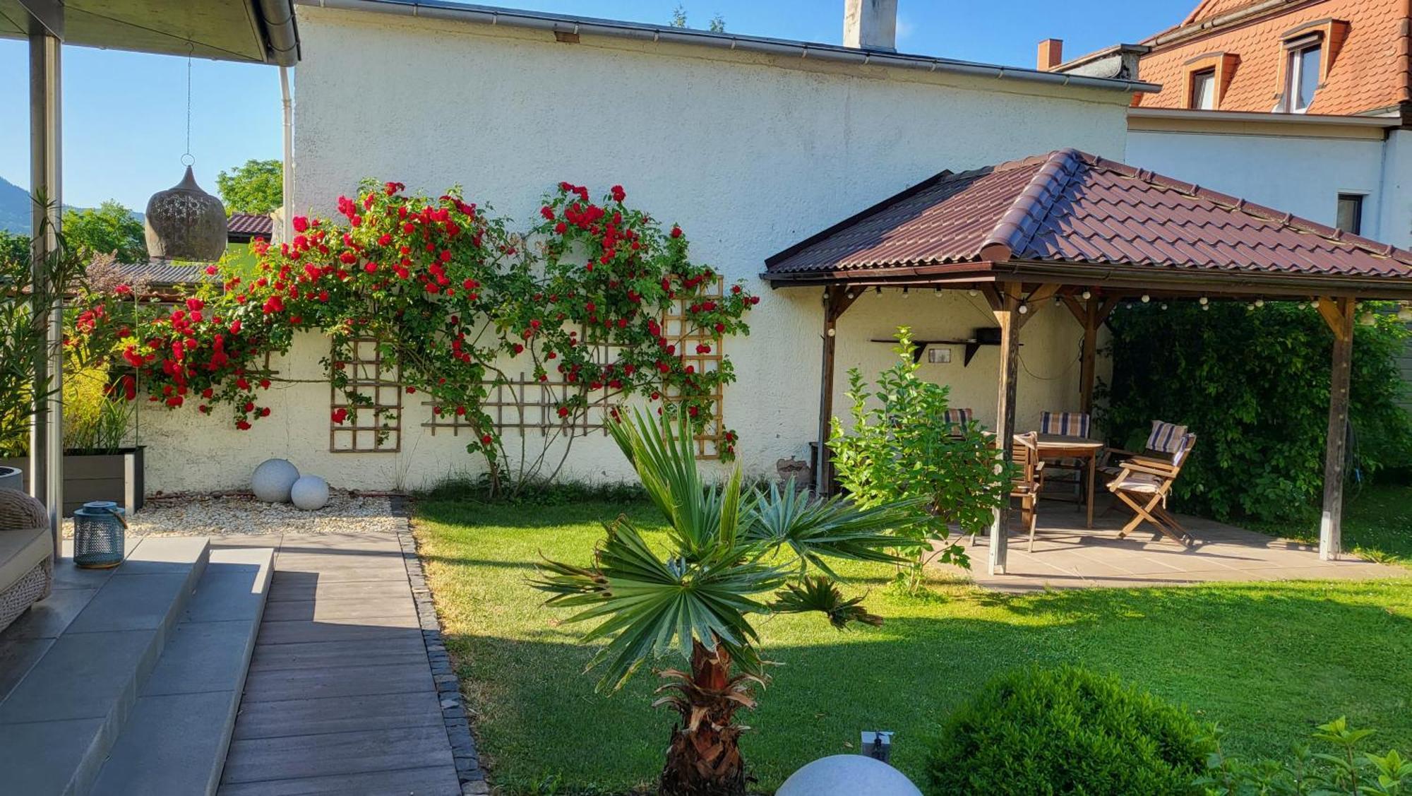 Apartments Am Saalebogen Mit Gartenterrasse, Grillkamin, Freie Parkplaetze Rudolstadt Exterior foto