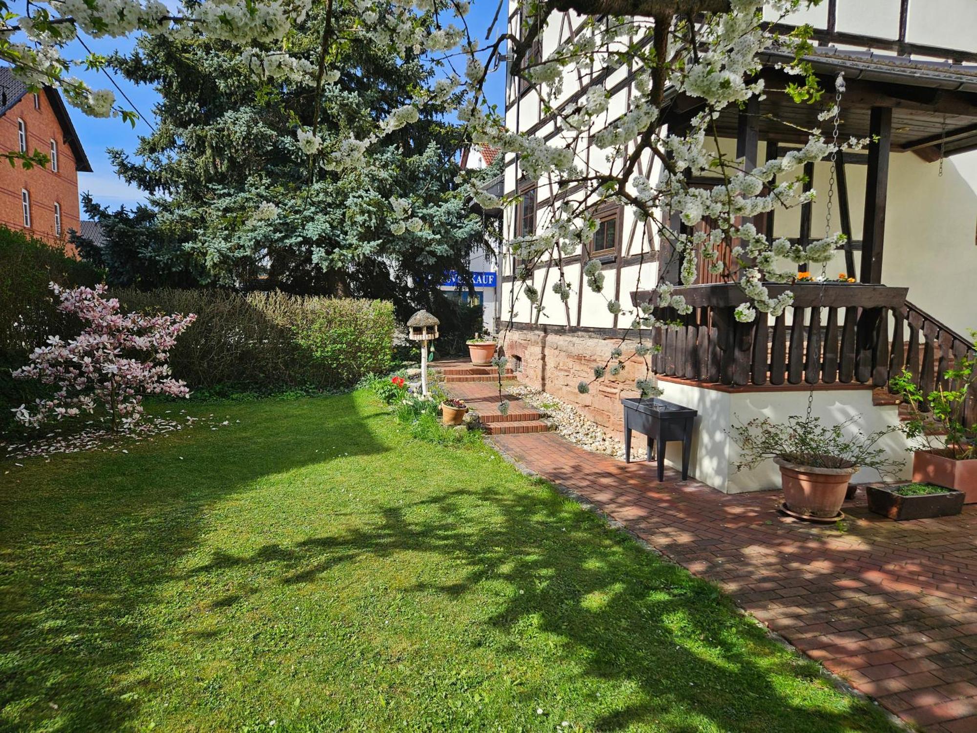 Apartments Am Saalebogen Mit Gartenterrasse, Grillkamin, Freie Parkplaetze Rudolstadt Exterior foto